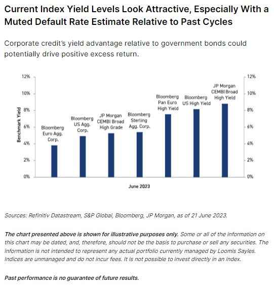 Investment Outlook July 2023 Loomis